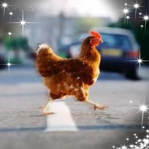 Meet your Posher, Alicia